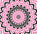 Pink black mandala explosion geometries, forms, abstract texture, graphics