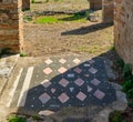 Pink and black mosaic floor at Pompeii