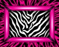 a pink and black zebra print background with a pink frame Royalty Free Stock Photo