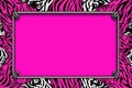 a pink and black zebra print background with a square frame Royalty Free Stock Photo