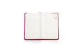 Pink blank squared open diary