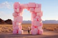 Pink Blocks Structure in Desert