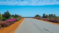 Pink blooming bushes next to the road in Western Australia next to Kalbarri