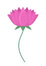 Pink blooming flower semi flat color vector object