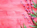 Pink blossom flowers and green bamboo leaves on red wood background Royalty Free Stock Photo