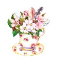 Pink blossom flowers, vintage feathers in tea cup. Watercolor