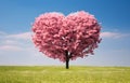 pink blossom tree of love heart shape in green field over blue sky Royalty Free Stock Photo