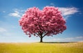 pink blossom tree of love heart shape in green field over blue sky Royalty Free Stock Photo