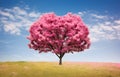 pink blossom tree of love heart shape in green field over blue sky Royalty Free Stock Photo