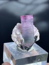 Pink and blue bi color  tourmaine with lepidolite specimen from skardu Pakistan Royalty Free Stock Photo