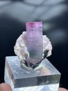 Pink and blue bi color  tourmaine with lepidolite specimen from skardu Pakistan Royalty Free Stock Photo