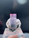 Pink and blue bi color  tourmaine with lepidolite specimen from skardu Pakistan Royalty Free Stock Photo