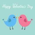 Pink and blue bird couple. Happy Valentines Day. Love Greeting card. Cute cartoon kawaii character. Flat design. Baby background. Royalty Free Stock Photo