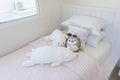 Pink and blue blanket with creative pillows on bed in colorful kids room Royalty Free Stock Photo