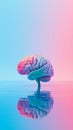 Pink and Blue Brain Floating on Body of Water - Mind Over Matter Concept