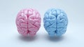 Pink and Blue Brain Halves, Representing Left and Right Hemispheres, Creativity and Logic Royalty Free Stock Photo