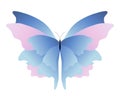 Pink blue butterfly Royalty Free Stock Photo