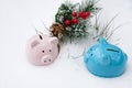 Pink and blue ceramic pig piggy Bank on snow with fir branch, Christmas holiday Royalty Free Stock Photo