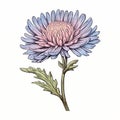 Meticulously Detailed Chrysanthemum Flower Illustration In Anemoiacore Style