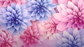 Pink and blue dahlia flowers. Flowering flowers, a symbol of spring, new life