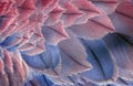 Pink and blue natural background. plumage of a crane close-up. feathers birds texture background. selective focus Royalty Free Stock Photo
