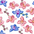 Pink and blue orchid floral seamless pattern. Flowers bloom blossom foliage Royalty Free Stock Photo