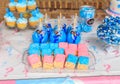 Pink and Blue, Outdoor Gender Reveal Party Decorations