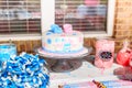 Pink and Blue, Outdoor Gender Reveal Party Decorations