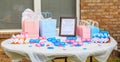 Pink and Blue, Outdoor Gender Reveal Party Decorations