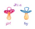 Pink and blue pacifier, isolated with inscription it`s a girl, boy Royalty Free Stock Photo