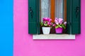 Pink and blue painted facade of the house and window with pink flowers Royalty Free Stock Photo