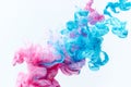 Pink and blue paints splash curves in water on white Royalty Free Stock Photo