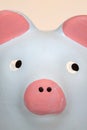 Pink and blue piggy bank Royalty Free Stock Photo