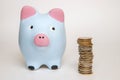 Pink and blue piggy bank looking of money coins Royalty Free Stock Photo