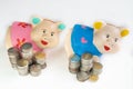 Pink and Blue piggy bank saving money with coins pile Royalty Free Stock Photo