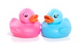 A pink and a blue plastic duck