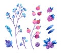 Pink, blue and purple berries. Stylized hand drawn watercolor illustrations set.