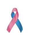 Pink blue ribbon awareness isolated clipping path bow for newborn birth defect, Sudden Infant Death Syndrome (SIDS)
