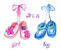 Pink and blue shoes hanging on lace, isolated with inscription it`s a girl, boy