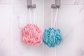 Pink and blue shower scrubbers