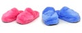 Pink & Blue slippers Royalty Free Stock Photo
