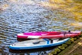 Blue and pink paddle boards in the canal Royalty Free Stock Photo