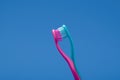 Pink and blue toothbrushes arranged like couple kissing