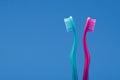 Pink and blue toothbrushes arranged like couple in relationship fight