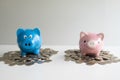 Pink and blue two piggy bank with coins pile, step up helping business to success and saving for retirement concept Royalty Free Stock Photo