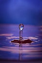 Pink and blue water drop and splash Royalty Free Stock Photo