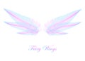 Pink and Blue Wings - Magic Elfin Wings