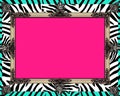a pink and blue zebra print frame with an ornate frame Royalty Free Stock Photo