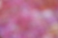 Pink Blur Background - Nature Stock Photos Royalty Free Stock Photo