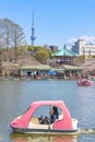 Pink boat pedalo and cherry blossoms in the Shinobazu pond of Ueno. Royalty Free Stock Photo